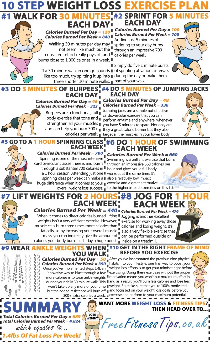 Weight Loss Exercises Infographic