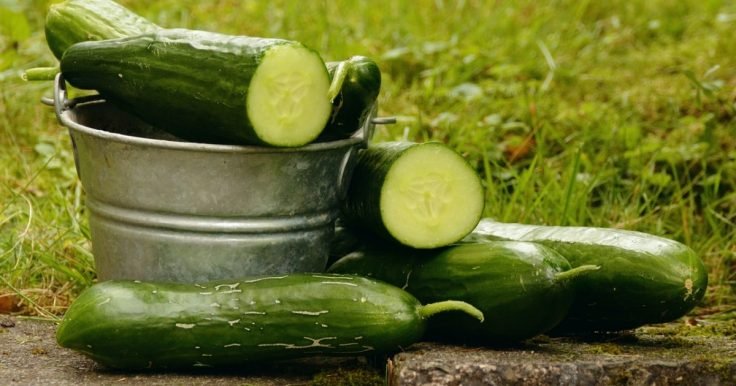 Health Benefits Of Cucumber