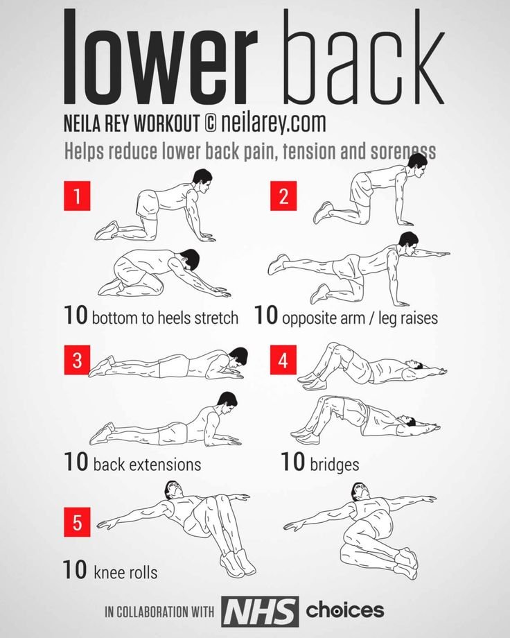 5 Best Lower Back Exercises