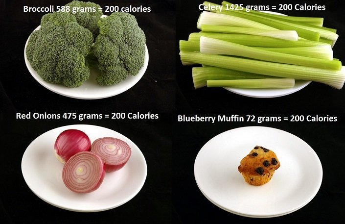 This-Is-What-200-Calories-Looks-Like 4