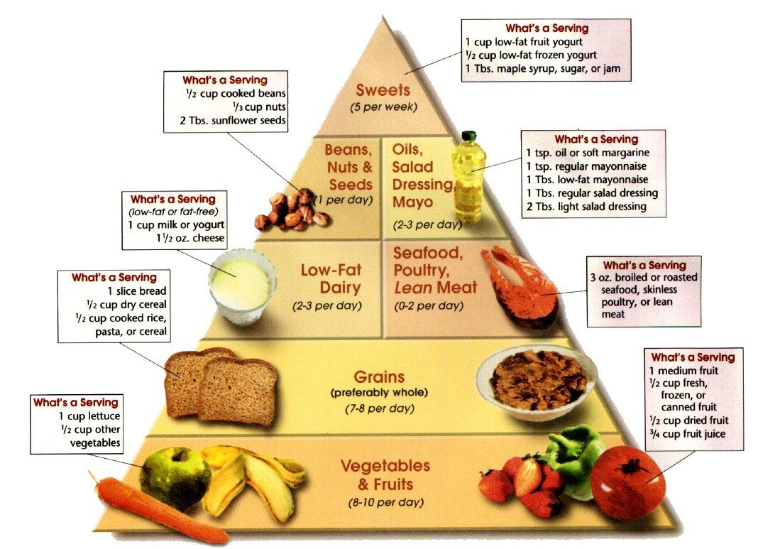 high carb diet plan for weight gain