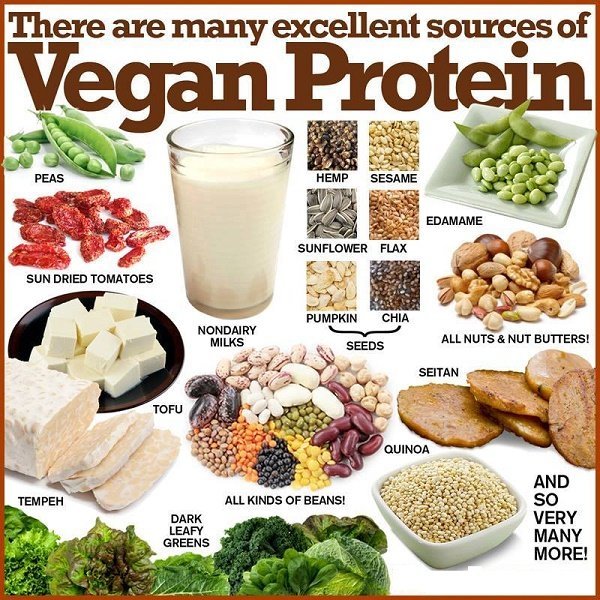 Vegan protein foods