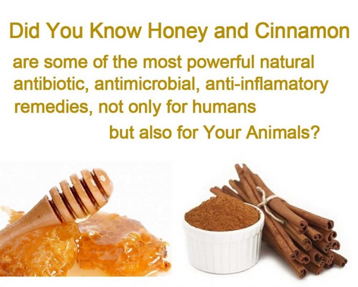 Honey and cinnamon
