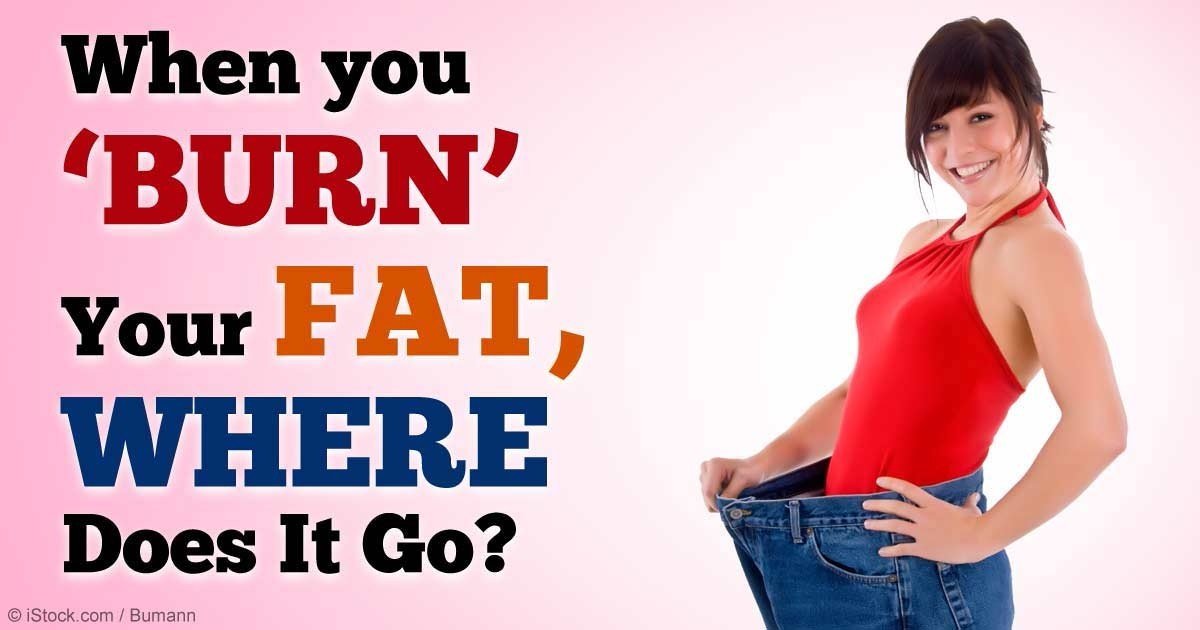 When you burn your fat, where does it go?