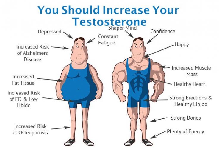 Increase Your Testosterone