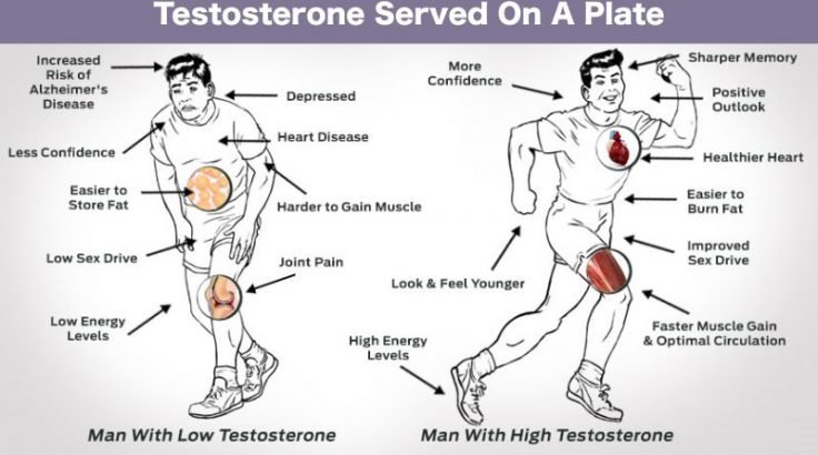 Testosterone served on a plate