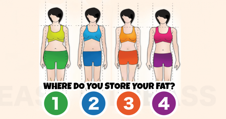 The 4 Main Body Types-FB