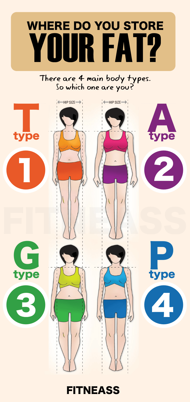 The 4 Main Body Types