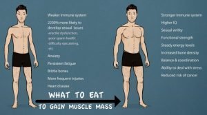 How Much Should I Eat Per Day To Gain Muscle Mass? - Fitneass