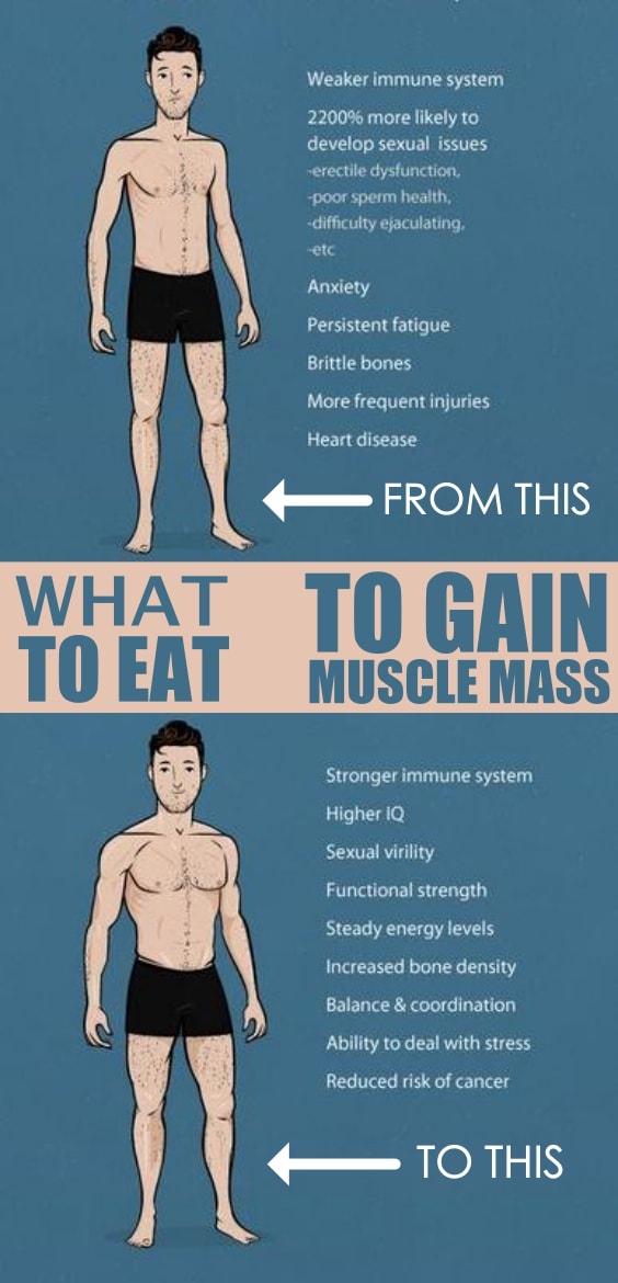 What To Eat To Gain Muscle Mass
