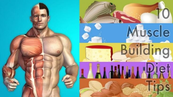 10 Muscle Building Diet Tips