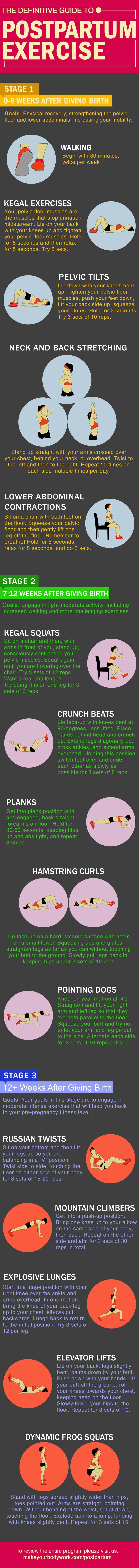 Postpartum Exercise Infographic