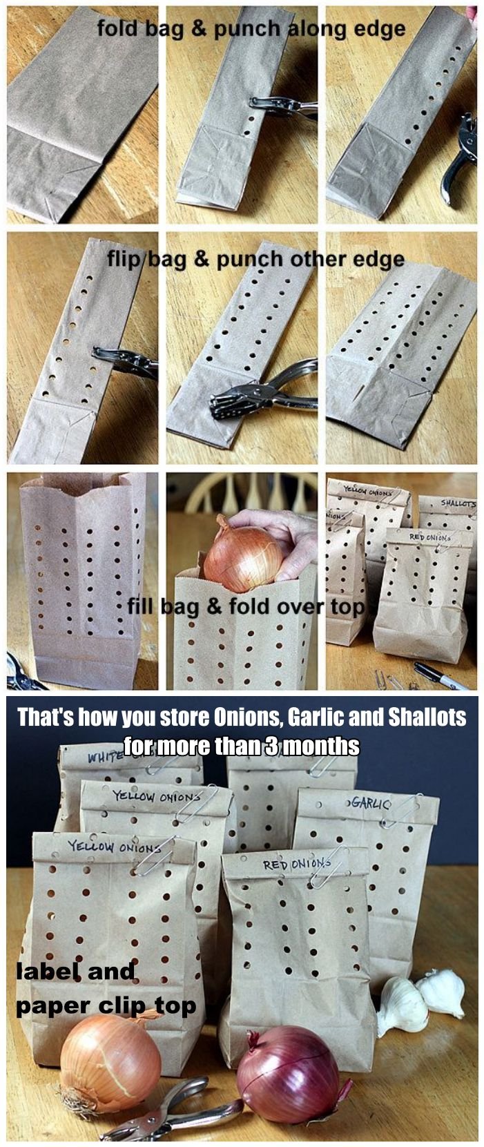 How to store Onions