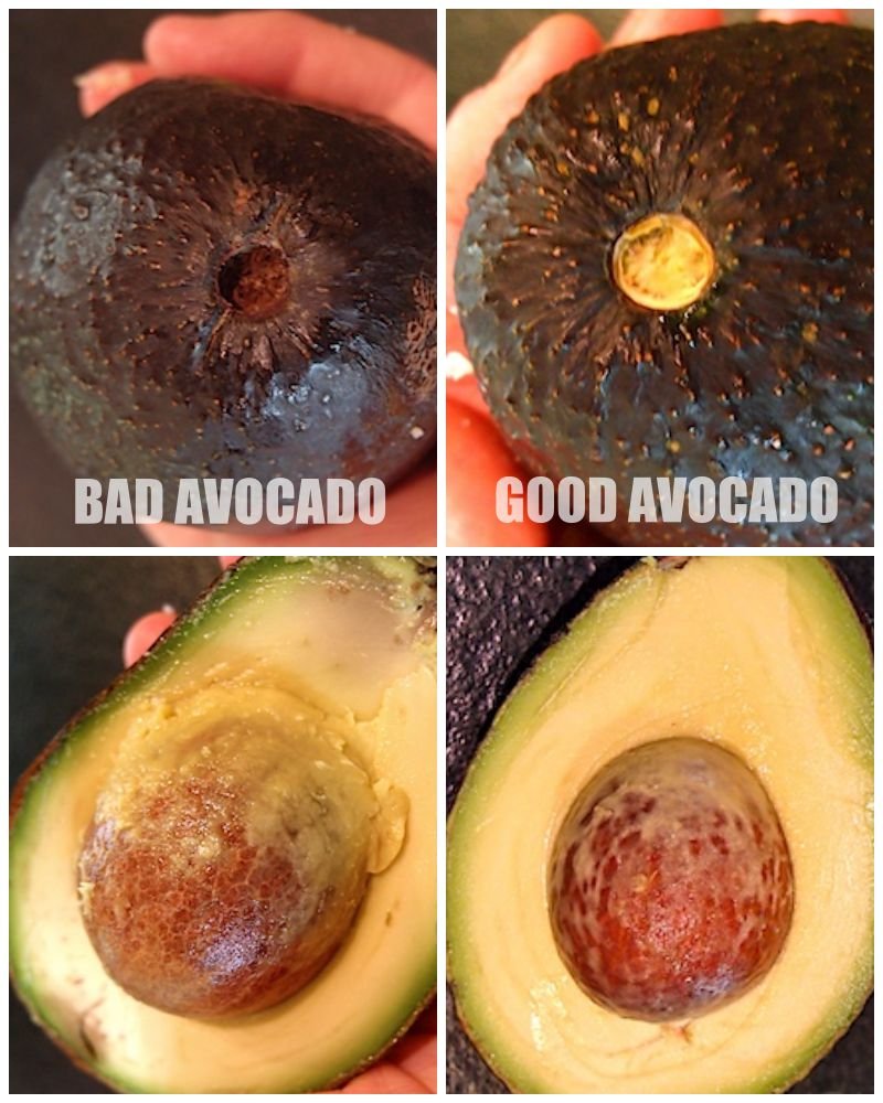 Life Hacks - Bad Avocado Test