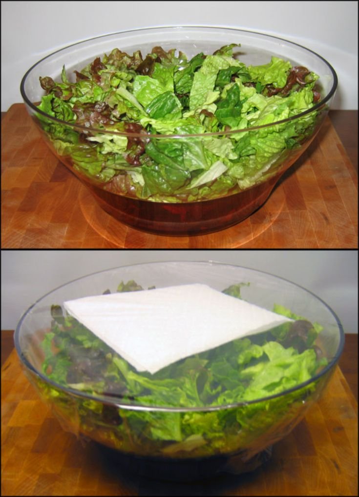 Save salads for weeks