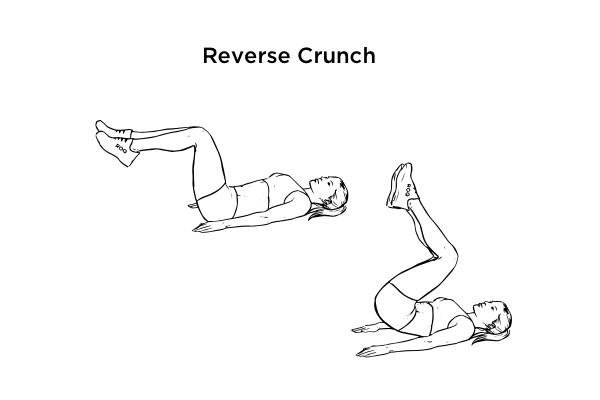 V cut abs - reverse crunch