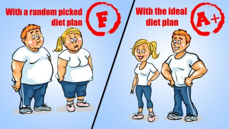 The Diet Quiz