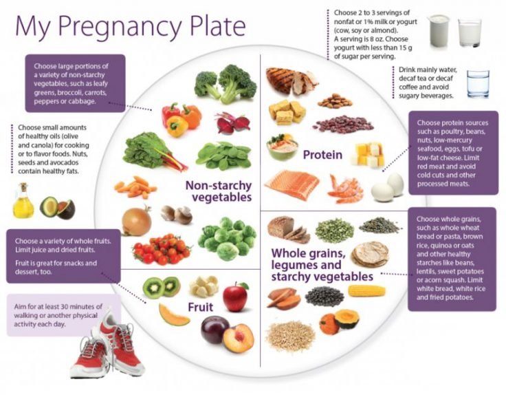 Healthy Pregnancy Plate