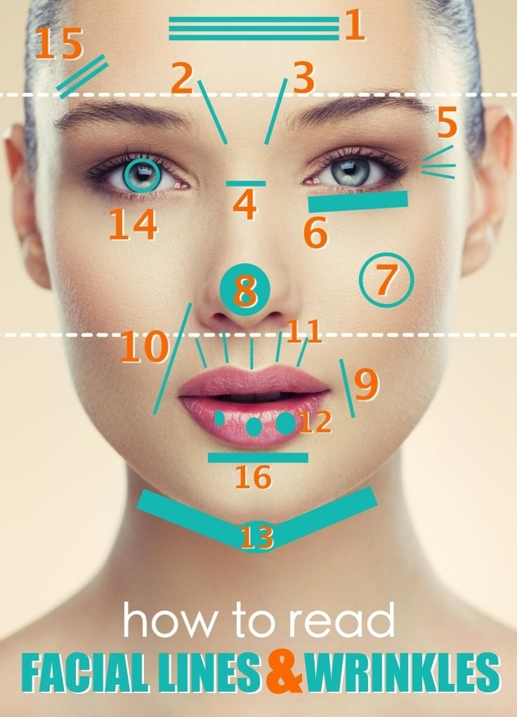 How To Read Your Facial Lines And Wrinkles Fitneass
