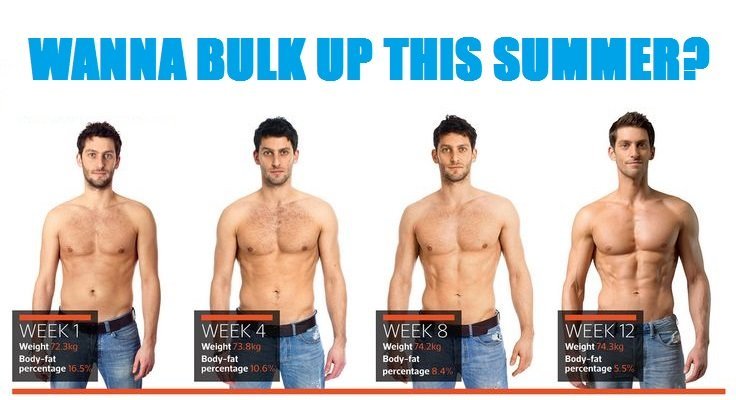 looking to bulk up