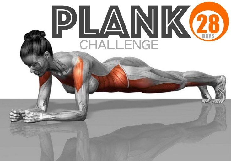28 day plank challenge