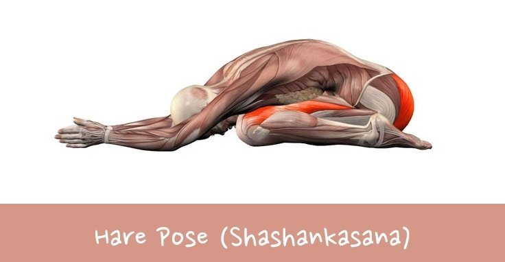 Yoga Poses For Lower Back Pain Relief #4 Hare Pose (Shashankasana)