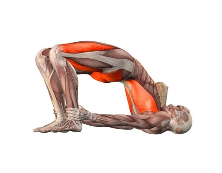 Yoga Poses For Lower Back Pain Relief