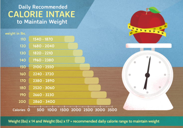 daily-recommended-calorie-intake-to-maintain-weight