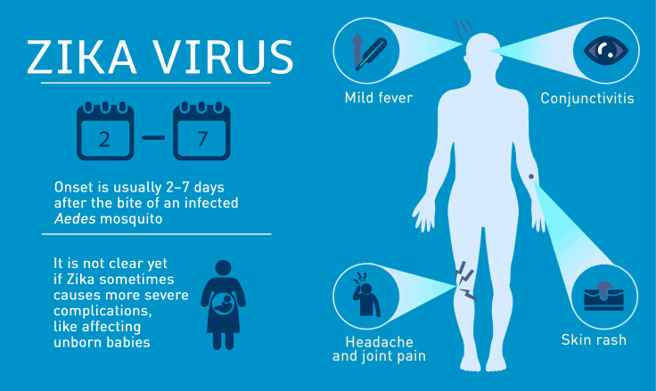 for virus solution zika Threat Infographic Fitneass Zika Virus  The  And Fight Against