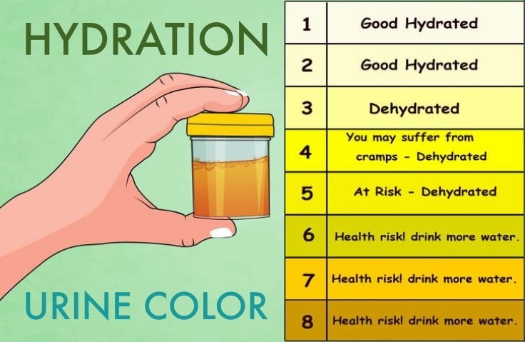 Urine Color Chart For Hydration