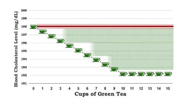 Drinking Tea Reduces Cholesterol