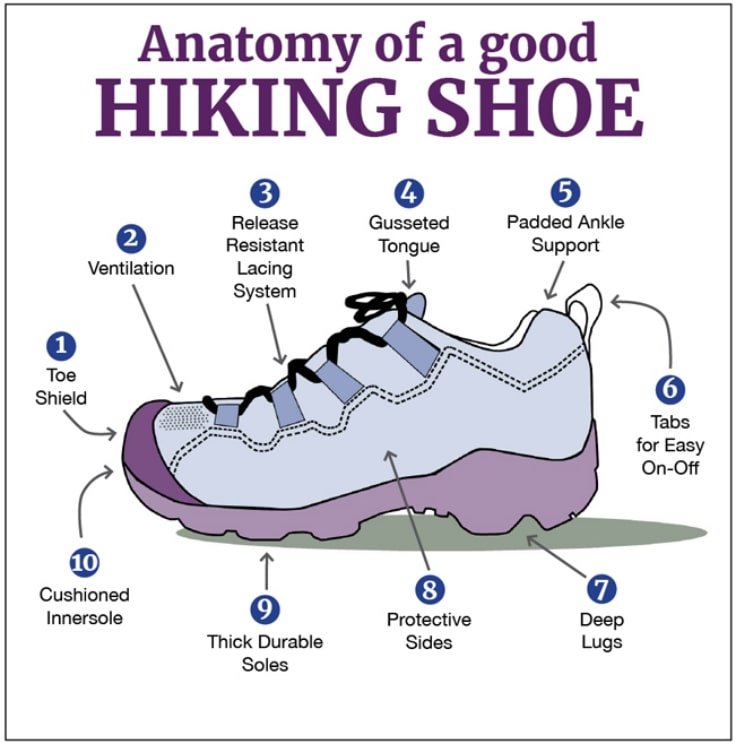 The Anatomy Of A Good Hiking Shoe