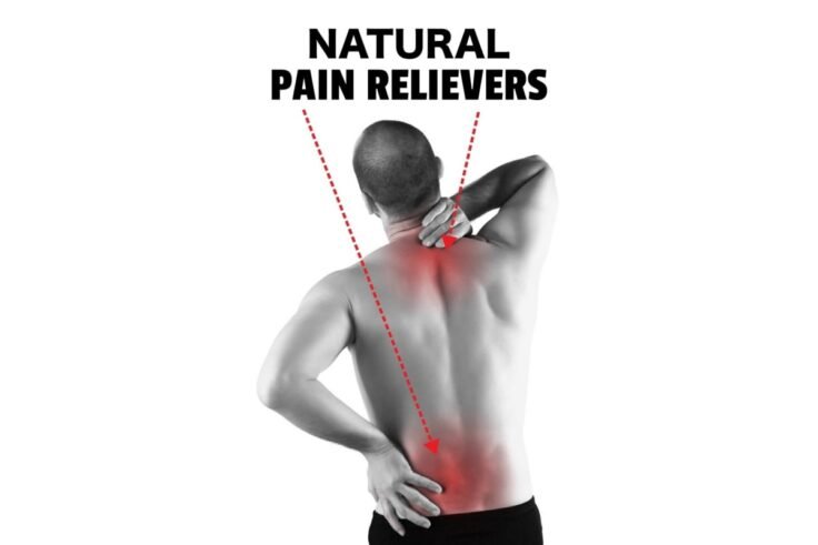 The Best Available Natural Pain Relievers