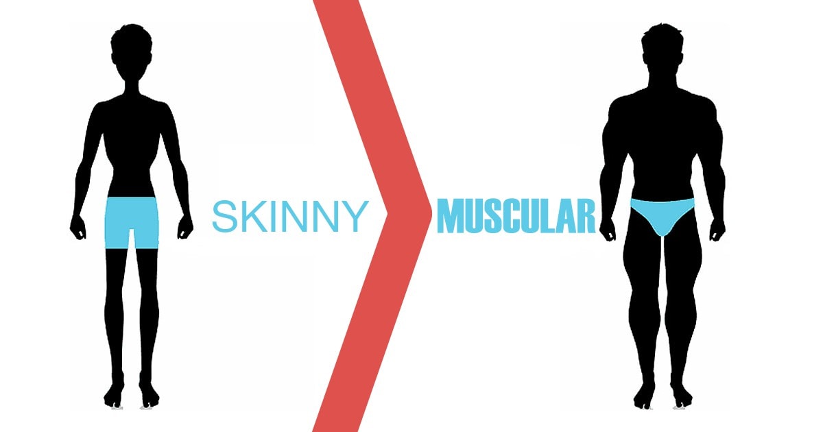 Building skinny guys tips muscle for 5 Muscle