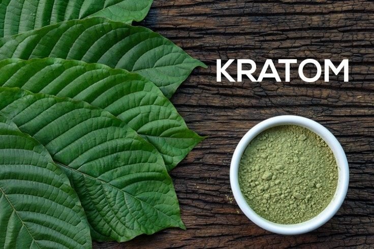 Benefits And Side Effects Of The Herbal Plant Kratom