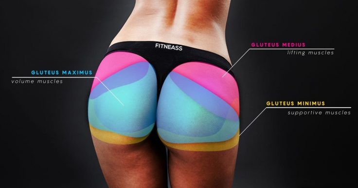 How To Get A Bigger Butt - Know Your Butt Muscles