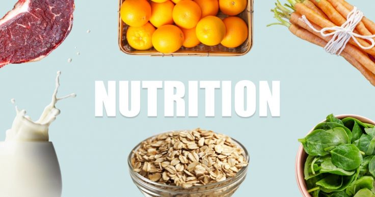 Proper Nutrition Benefits