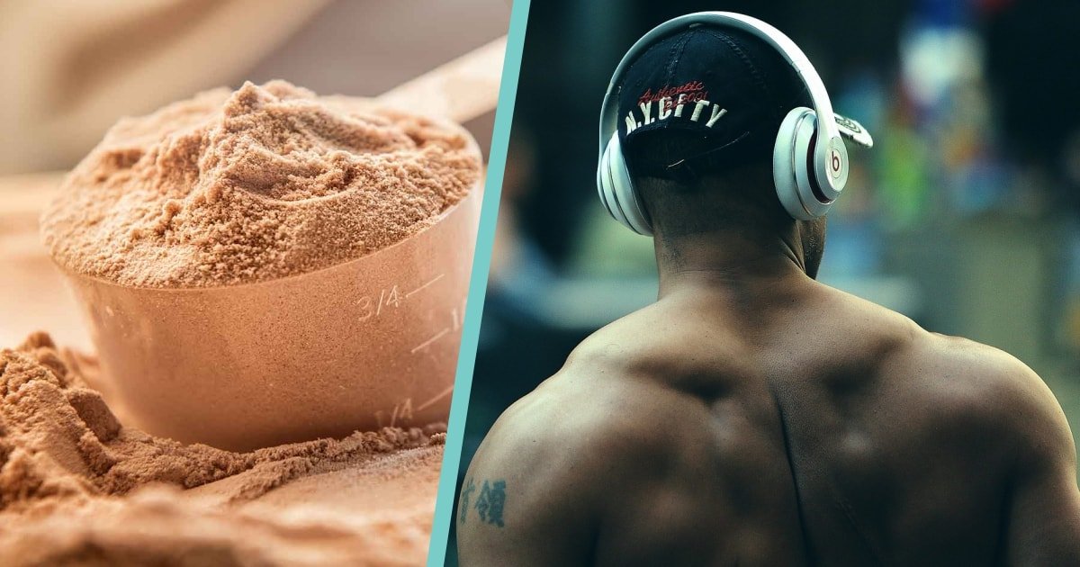 The 7 Best Protein Powders For Maximizing Workouts Fitneass