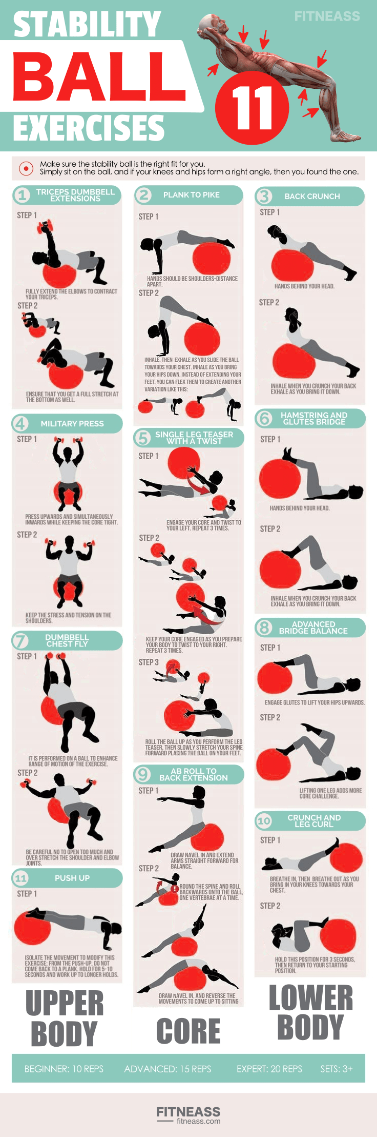 Stability Ball Exercises Infographic