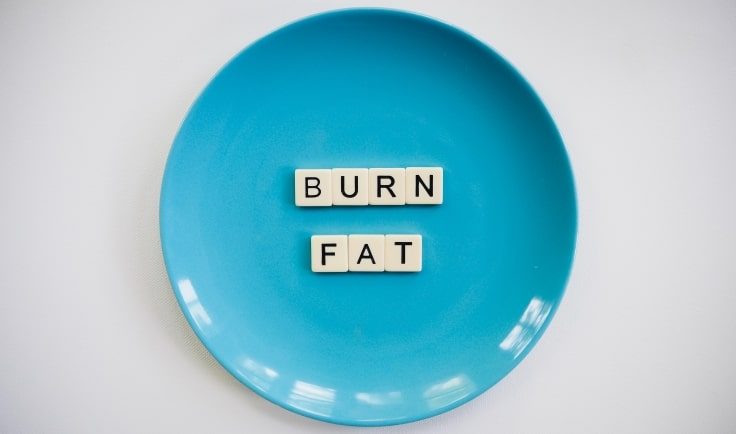 The Keto Diet Helps Burn Fat And Lose Weight