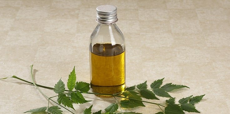 Use Neem Oil On The Boils