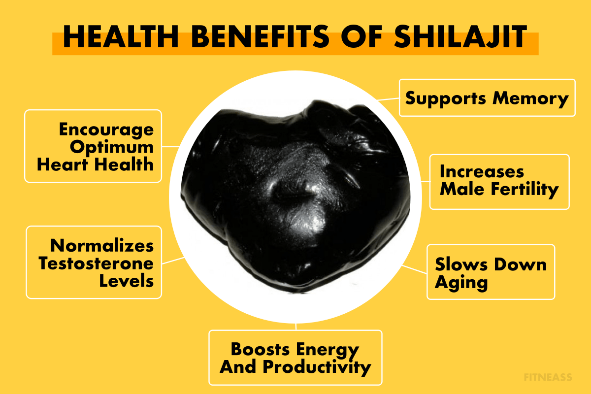 Health Benefits Of Shilajit 