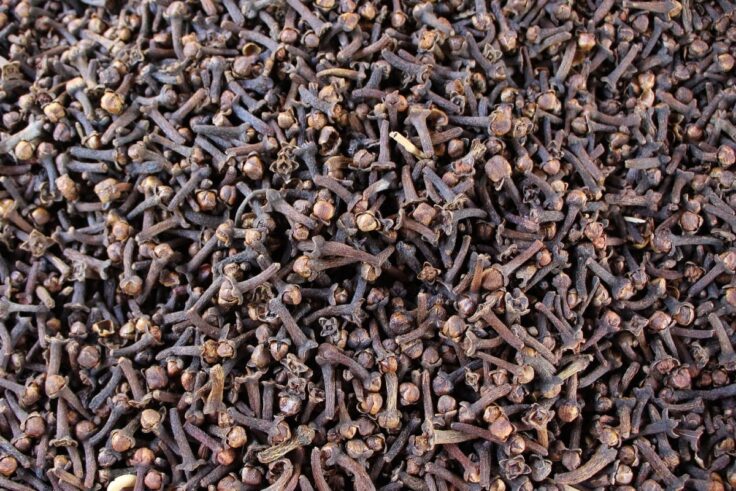 Science-Based Benefits Of Cloves