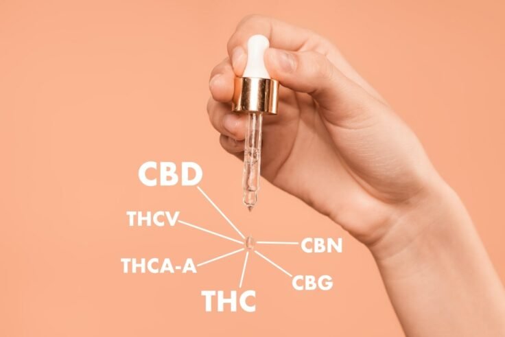 What To Look For In CBD Lab Reports