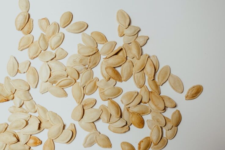 Pumpkin Seeds Are Rich In Iron