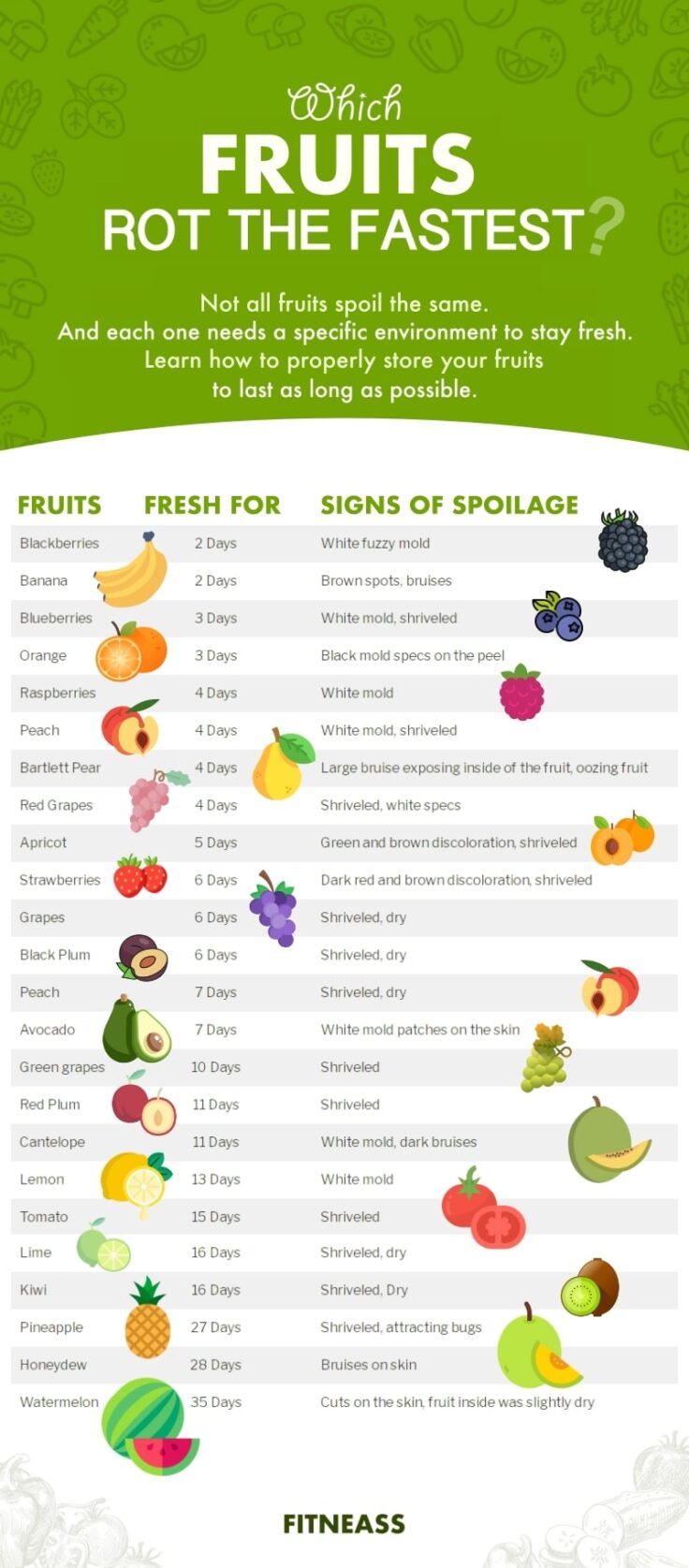 When Do Fruits Rot At Room Temperature Infographic
