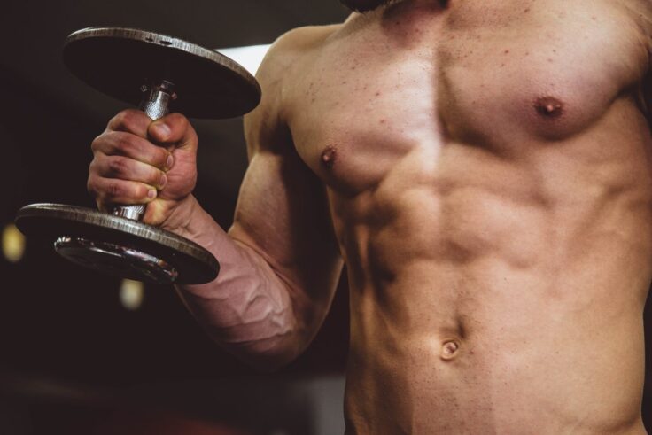 How To Gain Muscle Fast And Effectively