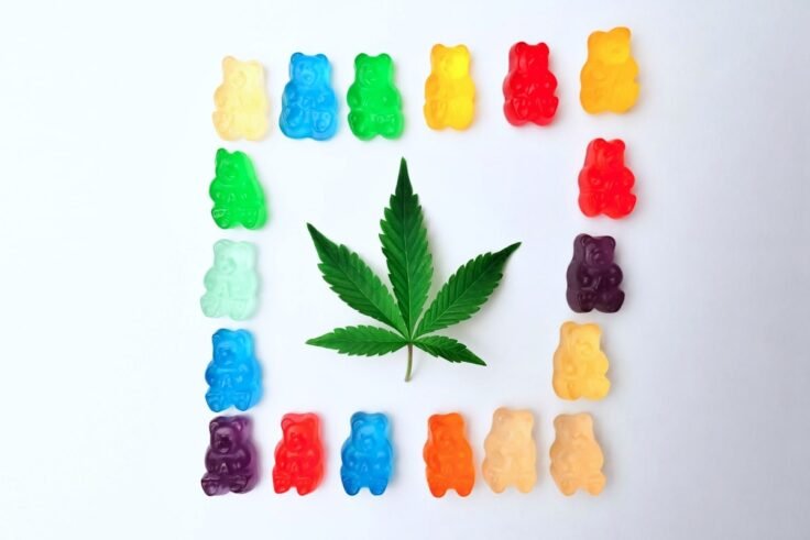 A Quick Introduction To CBD Gummies