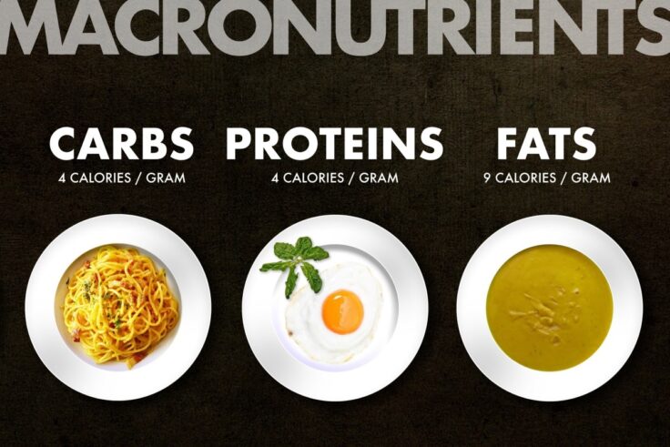 What Does Counting Macros Mean And How To Do It